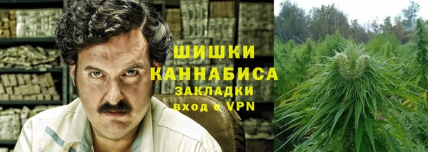 дурь Арсеньев